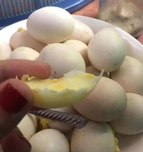 6 loại trứng đã không bổ béo còn “phá hủy” nội tạng, mê mấy cũng phải nhịn