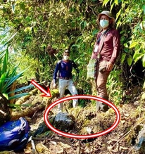 Lần theo tiếng động trên đám rêu ẩm ướt, cán bộ kiểm lâm hân hoan tìm thấy loài "tuyệt chủng" hơn 40 năm