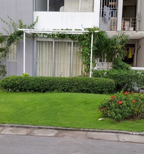 Vỡ mộng mua nhà có sân ở tầng trệt chung cư: người trong cuộc than trời, hàng ngày đều sống trong khổ sở
