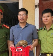 Thấy "vật lạ" trong vườn nhà, không ngờ là loài quý hiếm