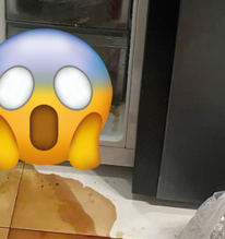 Mẹ vợ phát hiện chất lỏng màu đỏ rỉ ra từ tủ lạnh, mùi hôi thối kỳ lạ khi đến thăm con gái: "Tôi hét toáng, vội gọi cho con rể"