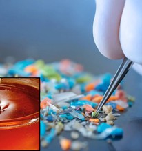 Bất ngờ vi nhựa có ngay trong thứ ngọt ngào được ví như “vàng lỏng”: 2 lưu ý để giảm nguy cơ