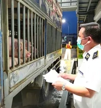 Hà Nội: Liên ngành đột xuất kiểm tra Công ty C.P trong đêm
