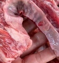 Phần thịt ngon nhất của con lợn: Trước chẳng ai để ý, giờ đi chợ sớm mới mua được!