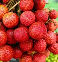 Vải mua về đừng vội cất tủ lạnh: Làm cách này tươi lâu hơn, để cả tháng vẫn ngọt mọng
