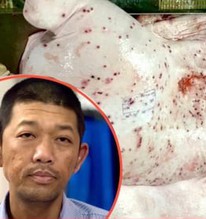 Người tố C.P. bán thịt heo bẩn: Sao hôm trước nói tôi bịa đặt, giờ lại nhận?