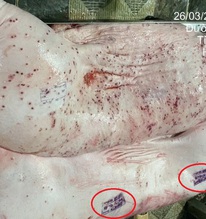 Chi tiết lạ trên heo bệnh tại cơ sở gia công cho C.P. Việt Nam: Nhân viên giải thích thế nào?