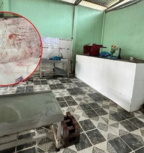 Lý do nhân viên thú y đóng dấu kiểm dịch sai trên heo bệnh của Công ty C.P., hé lộ về ao cá tiêu hủy heo