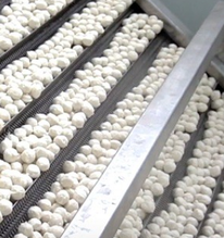 Một mặt hàng ‘ngon, bổ, rẻ’ của Việt Nam được Thái Lan, Hàn Quốc cực ưa chuộng: Thu về trăm triệu USD kể từ đầu năm, Nga cũng bắt đầu ‘đặt gạch’ mua hàng