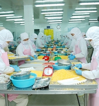 Món ngon Việt đang làm thị trường toàn cầu "mê mẩn", 4 tháng thu hơn 2.800 tỷ