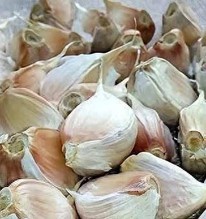 6 loại tỏi ngay cả người bán cũng chẳng dám ăn: Nhiều người vẫn vô tư mua về nấu cho cả nhà!