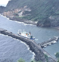 Chuyên gia Hàn Quốc: Trận siêu động đất ở Nhật Bản “chắc chắn sẽ xảy ra”