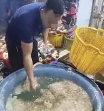 Công an TP HCM kiểm tra đột xuất, phát hiện 3 cơ sở ngâm hoa chuối bằng hoá chất