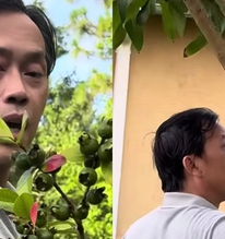 Hoài Linh thăm vườn biệt thự vài trăm m2 tại Mỹ, em trai nói: "Khác gì ở Việt Nam đâu"