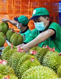Sầu riêng Việt Nam bị Trung Quốc trả về ồ ạt: DN kiến nghị Thủ tướng chỉ đạo làm rõ một chuyện bất thường    