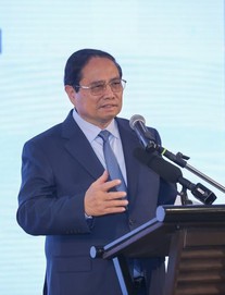 Việt Nam - Brazil sẽ lập thương hiệu chung 1 mặt hàng nước ta vừa lập kỷ lục, hơn 80 nước ồ ạt chốt đơn