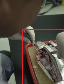 Vi nhựa âm thầm "hạ độc" toàn Đông Nam Á: Việt Nam có phải là nước nuốt nhựa nhiều nhất?