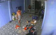 Vụ 2 người lớn bế thốc đứa trẻ vào nhà rồi đóng chặt cửa: Con rắn xộc vào với tốc độ rất nhanh có phải cạp nia cực độc?