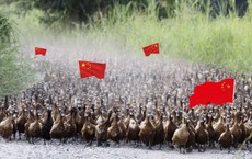Từng tính đưa '3 vạn quân' cứu nước láng giềng, vì sao người Trung Quốc 'vỗ tay lên trán' nói không được?