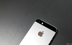 iPhone 6 ra mắt vào tháng 5/2014?