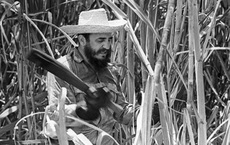 Nhớ lần chặt mía cùng lãnh tụ Fidel Castro