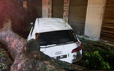 Hiện trường cây đổ la liệt, xe Audi bẹp dúm trên đường phố Hà Nội sau trận mưa dông bất ngờ