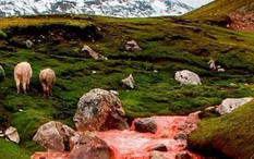 Bí ẩn dòng sông nhuộm đỏ ở Peru, tại sao chỉ đổi màu vào mùa mưa?