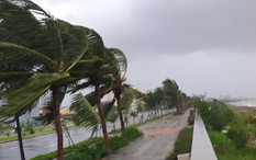 Bão số 10 Bualoi sắp đổ bộ: Ít nhất 4 địa phương cho học sinh nghỉ học ngày mai