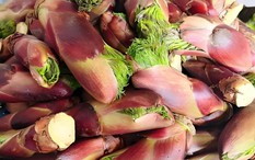 Thứ rau dại ở Việt Nam, Trung Quốc ví là “cao lương mỹ vị số 1 thế giới”: Nấu kiểu này bao nhiêu cũng hết