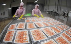 Ngành kinh tế tỷ đô của Việt Nam ghi nhận kỷ lục chưa từng có