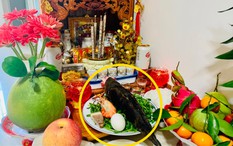 Không phải thịt quay, đây mới là món "đắt hàng nhất" ngày vía Thần Tài: Nhiều nhà chưa biết để mua về cúng