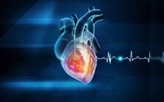 5 thói quen khiến trái tim ‘lâm nguy’, đột quỵ ‘chực chờ’: Nhiều người làm mỗi ngày mà không biết