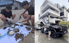 Tổng tài xứ Cam ở rể Việt Nam như thế này sao: Phụ vợ nhặt hạt điều, rửa loạt "xế hộp" tiền tỷ cho bố mẹ vợ