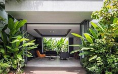 3 loại cây đừng trồng trước hiên nhà: Dễ mang vận xui và hao tài