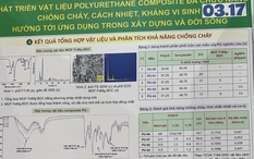 Viện Hóa học nói gì về dự án đoạt giải nhất cuộc thi KHKT cấp quốc gia nghi đạo văn?