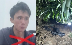 Bất ngờ lời khai Lê Văn Tuấn - kẻ sát hại cụ bà 87 tuổi rồi phi tang ở vườn chuối