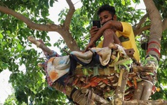 Thiếu hụt cơ sở y tế, chàng trai Ấn Độ trèo trên cây để cách ly sau khi biết mình nhiễm COVID-19