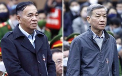 Xét xử cựu bí thư, chủ tịch Đồng Nai: Tuyên án vắng mặt Nguyễn Thị Thanh Nhàn AIC