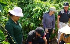 Việt Nam có mô hình độc đáo giúp đất hồi sinh, nông dân thu tiền tỷ từ giống cây "tốt nhất thế giới"