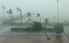 Bão số 13 Kalmaegi giật cấp 16 đổ bộ, 1 tỉnh huy động ô tô, xe thiết giáp khẩn cấp ứng phó