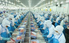 "Báu vật dưới nước" sẽ mang về hơn 11 tỷ USD cho Việt Nam, phá vỡ mọi kỷ lục từ trước tới nay