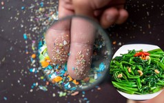 Vi nhựa len lỏi vào nhiều loại rau người Việt hay ăn bằng những cách không ngờ tới