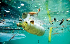 1 vật dụng quen thuộc giải phóng hàng tỷ hạt vi nhựa trong 30 giây: Làm thế nào để tránh?