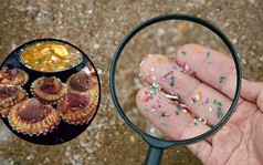 Loại hải sản cực bổ nhưng 1 gram ‘ngậm’ tới 10 hạt vi nhựa: Bác sĩ chỉ rõ 4 lưu ý khi ăn