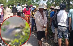 Cảnh báo nóng liên quan vụ thi thể bé gái 13 tuổi dưới đầm tôm