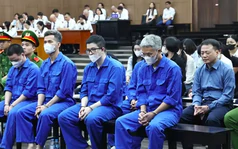 Tan cửa nát nhà vì lời trấn an ‘của Shark Bình đó, yên tâm mà nạp’