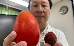 1 thứ trên người nam thanh niên đang bé như quả vải bỗng to như quả xoài, phát hiện ung thư tinh hoàn dù KHÔNG đau, KHÔNG ngứa