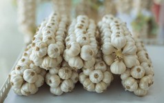 Gia vị dân dã của Việt Nam trồng tại nơi đặc biệt trở thành "vàng trắng": Giá đến 1,5 triệu đồng/kg