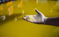 Phát minh "mở ra kỷ nguyên mới" trong lĩnh vực thu hồi lithium, coban đang dậy sóng nước Mỹ