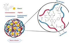 Độc quyền sáng chế: Việt Nam tạo đột phá nguyên liệu Nano công nghệ cao từ... vỏ đậu xanh